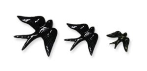 Andorinha Grande Preta