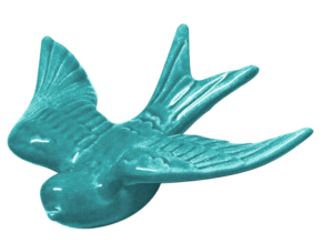 Andorinha Grande Turquesa